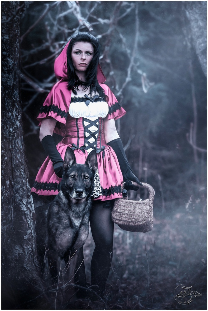 LL-Pics Pfotography by Linda Look