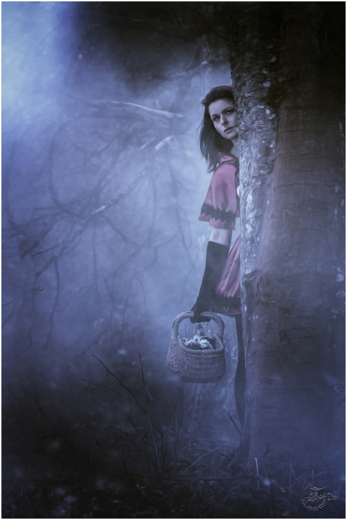 LL-Pics Pfotography by Linda Look