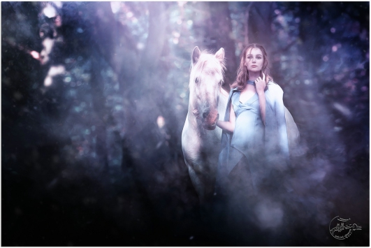 LL-Pics Pfotography by Linda Look