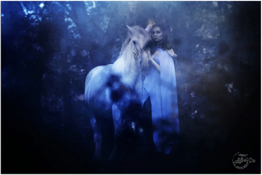 LL-Pics Pfotography by Linda Look