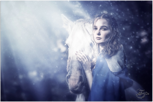 LL-Pics Pfotography by Linda Look